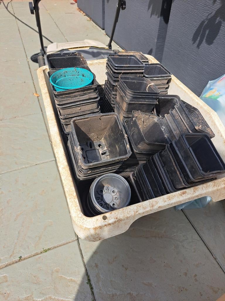 Bak met kweekpotjes p9, Tuin en Terras, Ophalen