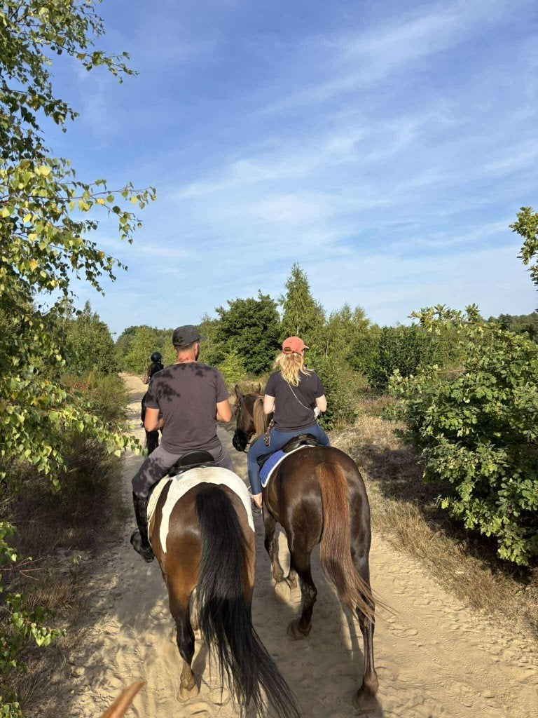 Last minutes | Paardenkampen België | jongeren & volwassenen, Vacances, Propriétaire