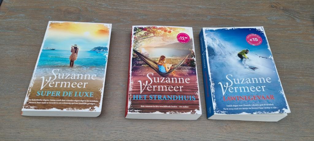 Suzanne Vermeer, Enlèvement