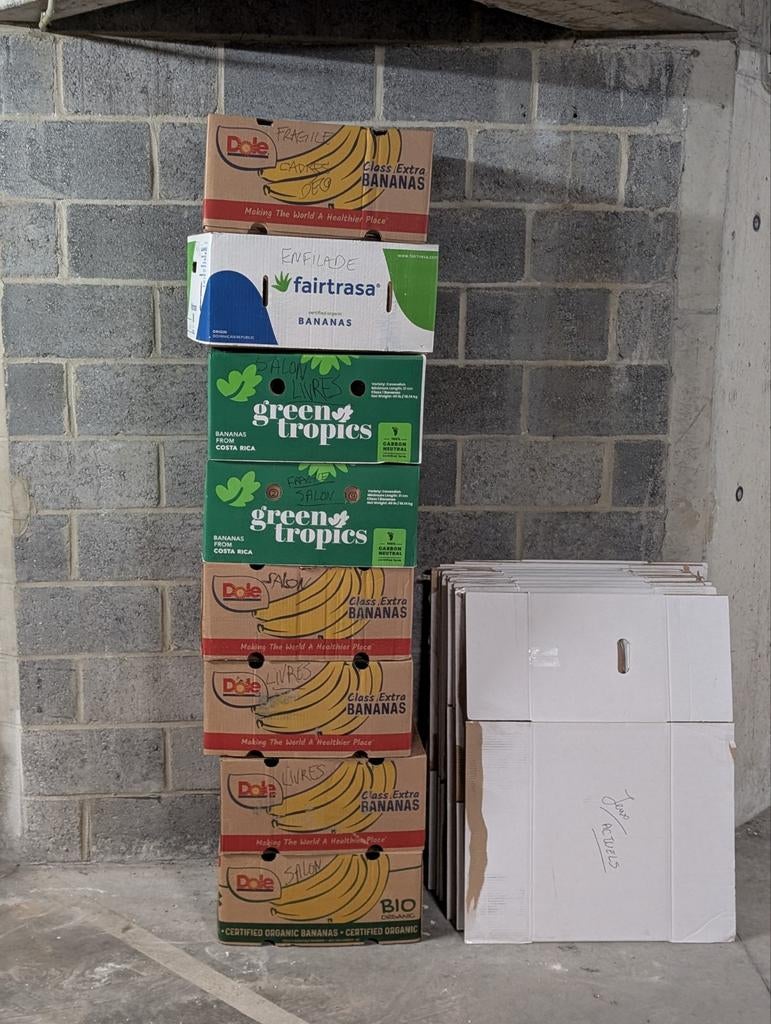 Gratis - 15 Verhuisdozen en 8 bananendozen, Ophalen