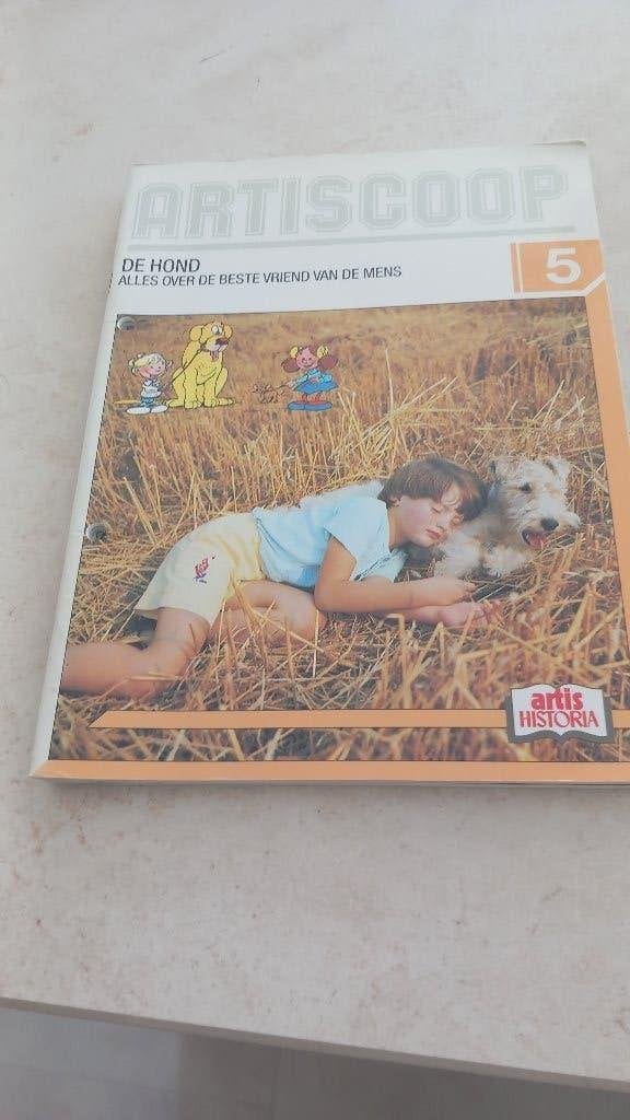 Artiscoop, Boeken, Ophalen of Verzenden, Gelezen, Prentenboek
