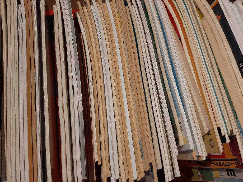 Groot Pakket Verschillende Strips te koop / Los te koop, Ophalen of Verzenden