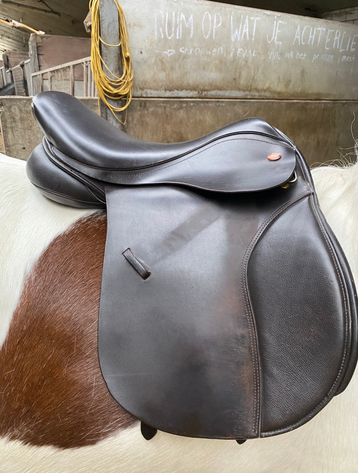 Kent en Masters vzh 17,5, Animaux & Accessoires, Enlèvement, L (17.5 pouces)