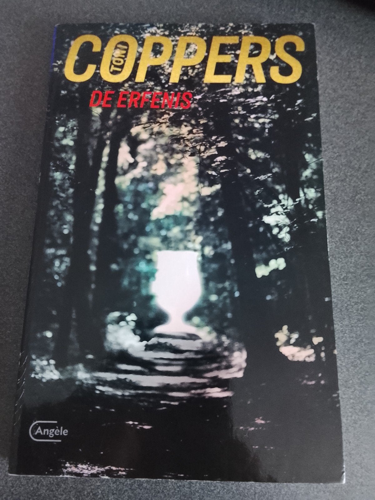 Coppers boeken, Boeken, Detectives, Ophalen, Zo goed als nieuw