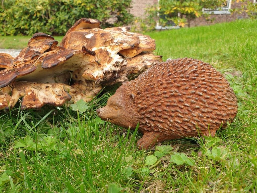 egel tuinbeeld, Ophalen of Verzenden, Nieuw