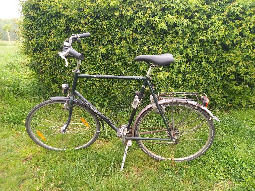 Vélo pour homme, Enlèvement, Utilisé, Gazelle, Vitesses
