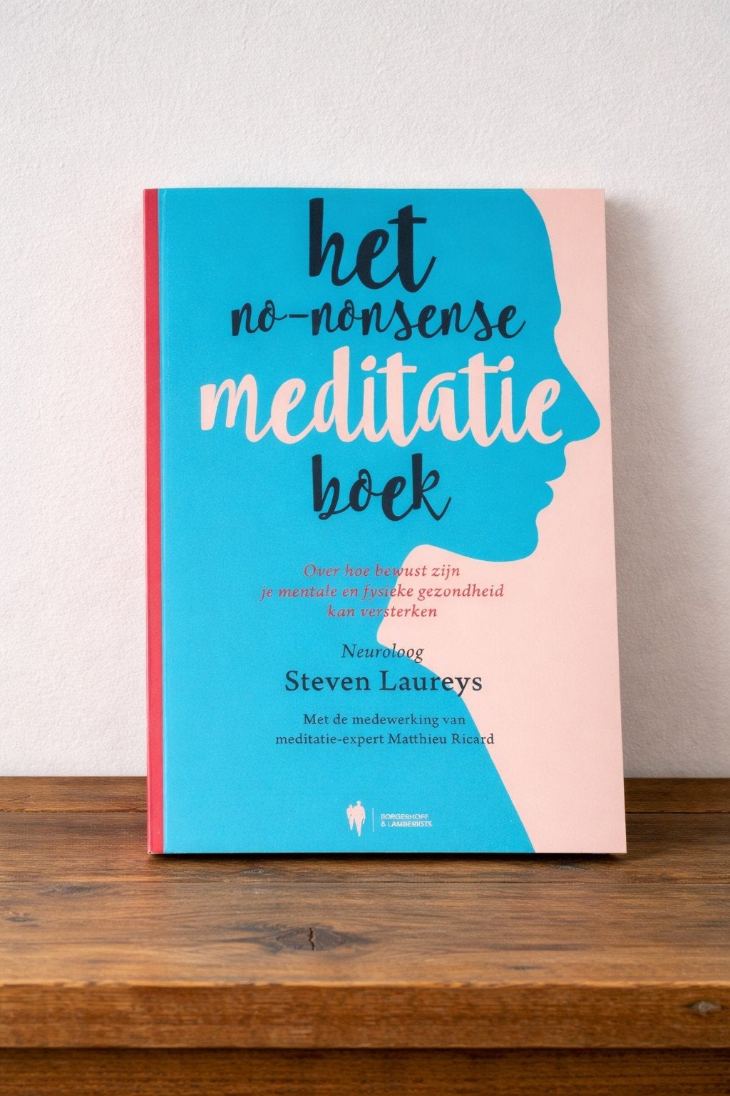 Het no-nonsense meditatie boek
Nieuwprijs 2, Enlèvement