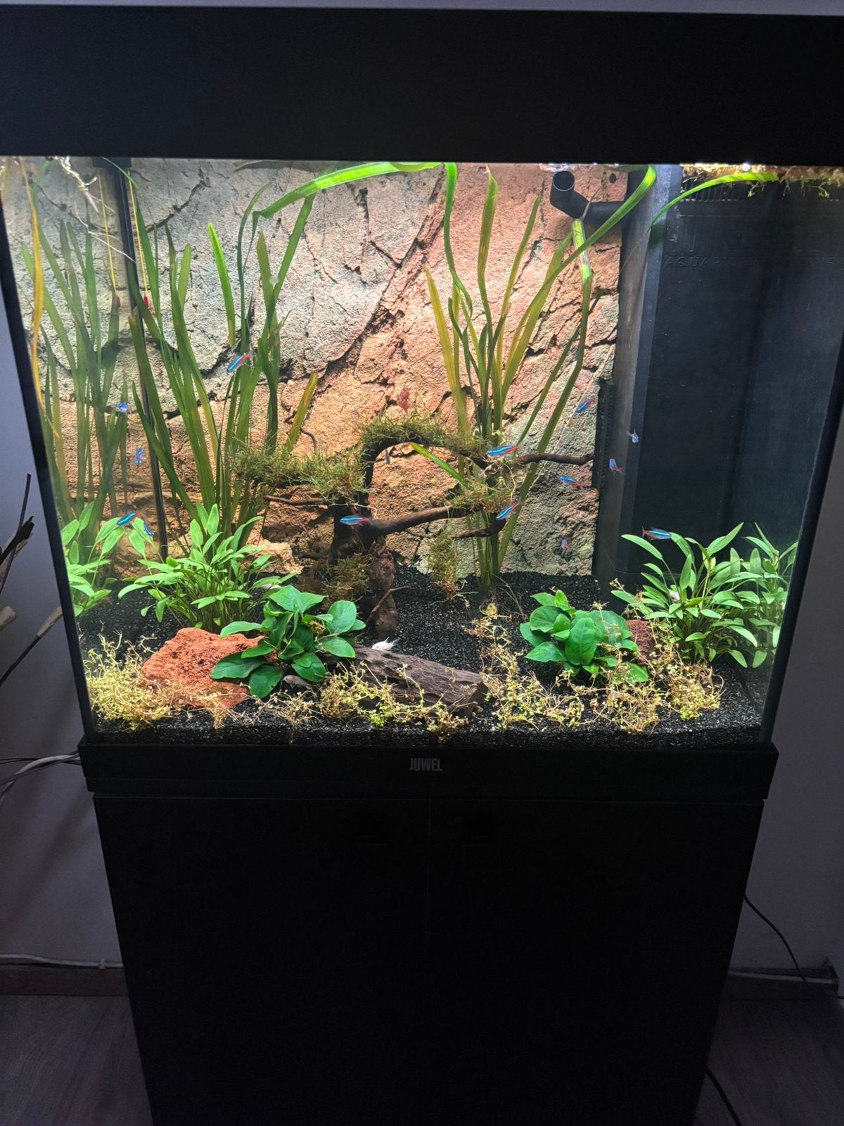 Juwel lido 120, helialux en smart controle, Dieren en Toebehoren, Ophalen, Filter, Juwel