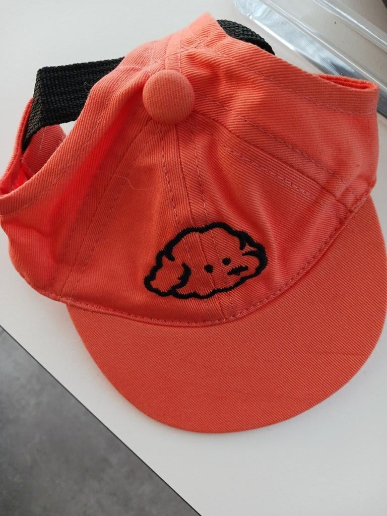 Klein hondenpetje te koop., Ophalen, Zo goed als nieuw