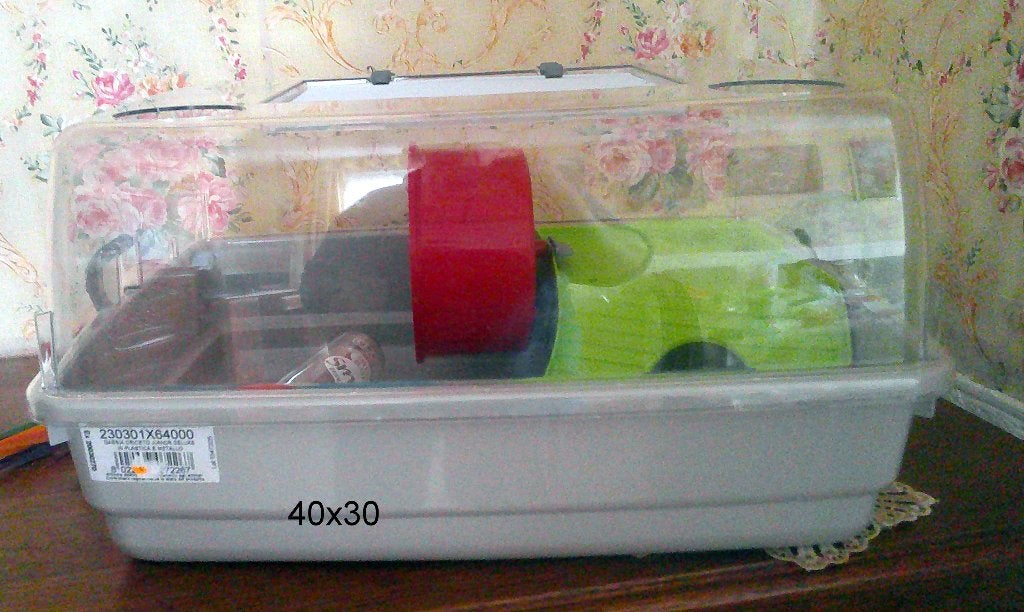 vend cage hamster, Animaux & Accessoires, Enlèvement, Neuf, Cage, Hamster