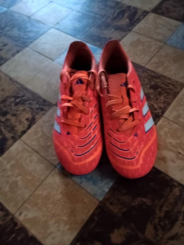 chaussures de foot Adidas Predator,comme neuf pointure 38,5, Sports & Fitness, Football, Enlèvement