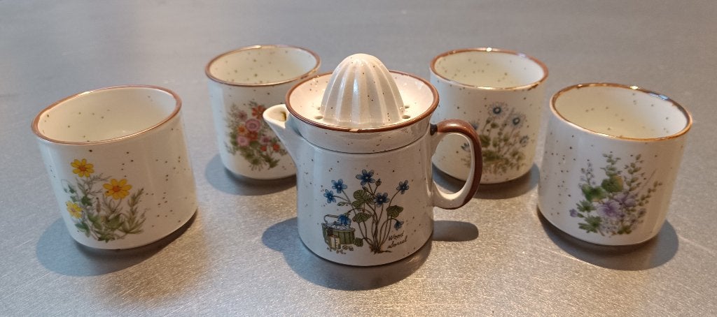 Vintage kopjesset en citruspers met Wilde Bloemen Motief, Ophalen