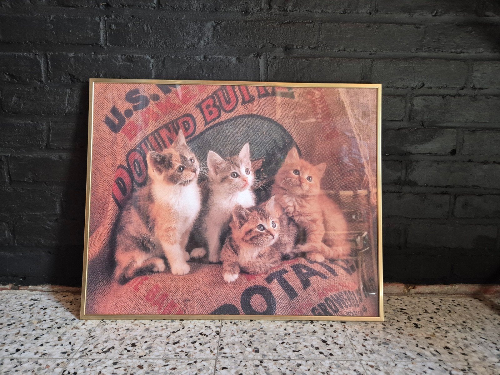 Poster in kader , 50 cm - 40 cm  🐈 🐈, Ophalen