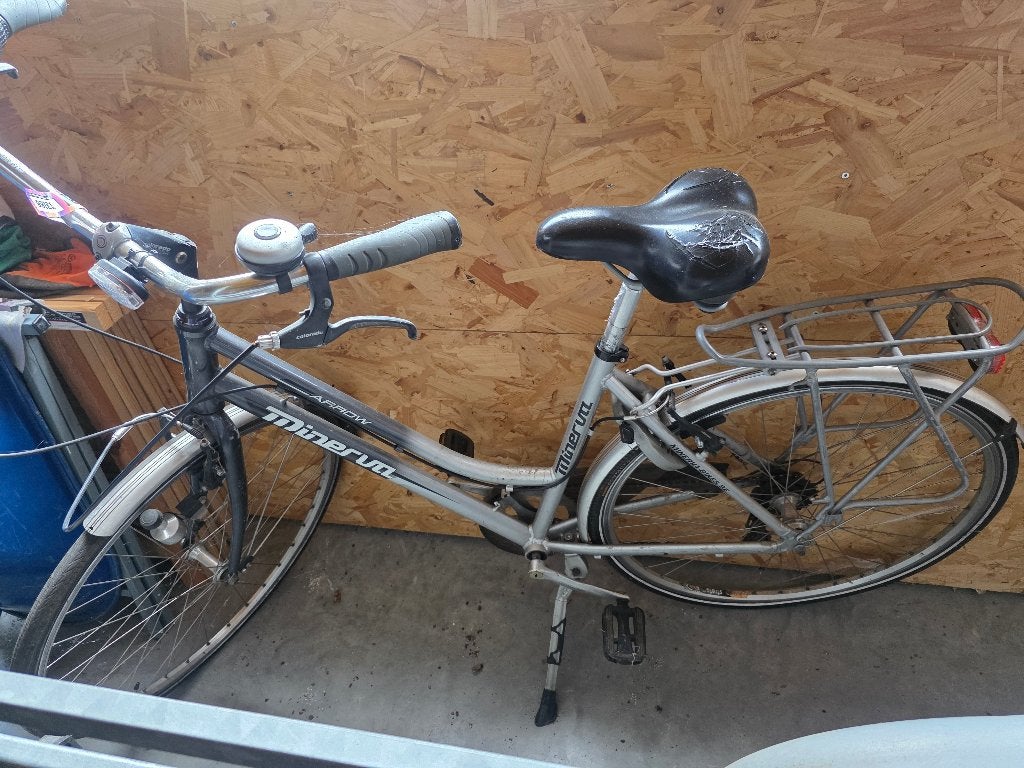 Damesfiets, Gebruikt, Velgrem, (Extra) lage instap, Ophalen
