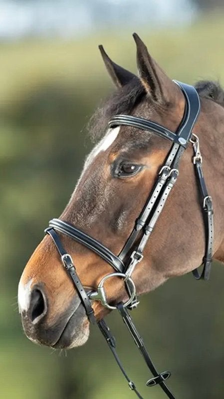 Nieuw: HFI Trainingshoofdstel (cob), Dieren en Toebehoren, Paarden en Pony's | Hoofdstellen en Tuigage, Nieuw, Hoofdstel, Overige merken