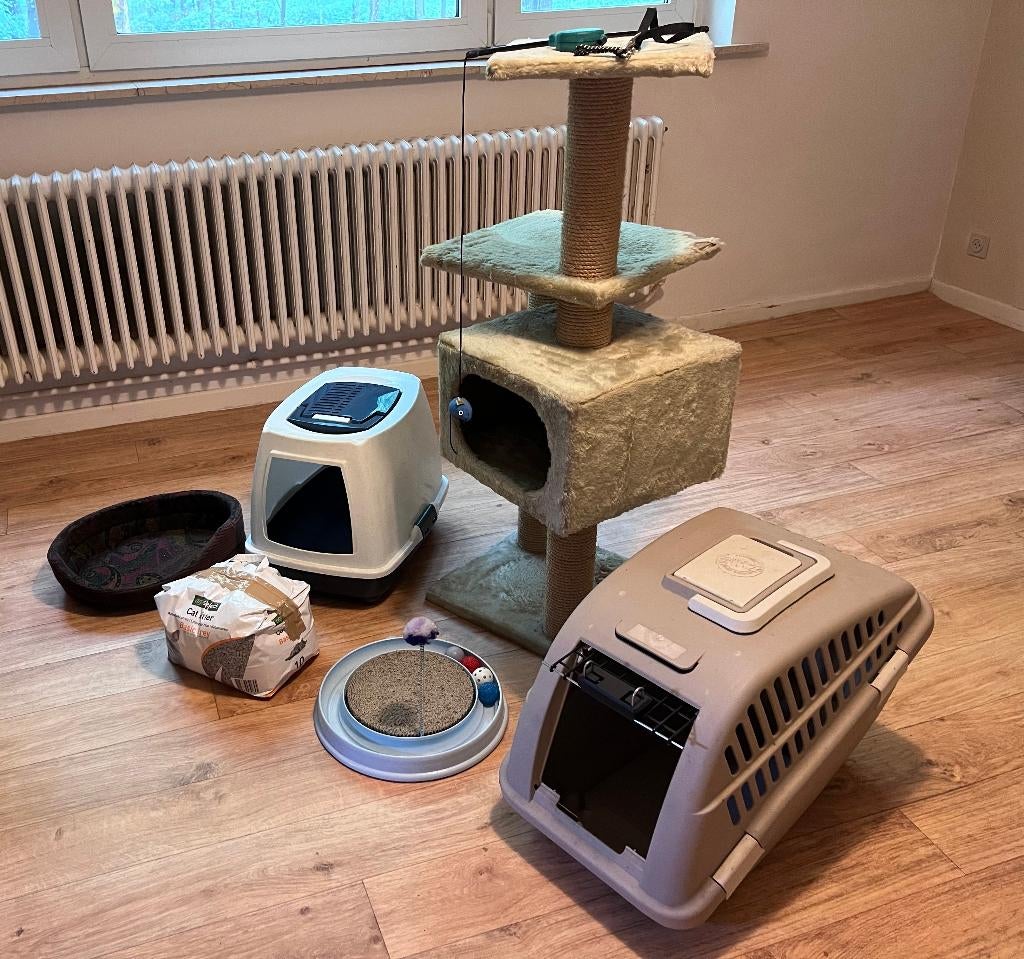 Cat "starter kit" – €50 (or best offer / meilleure offre), Enlèvement, Utilisé