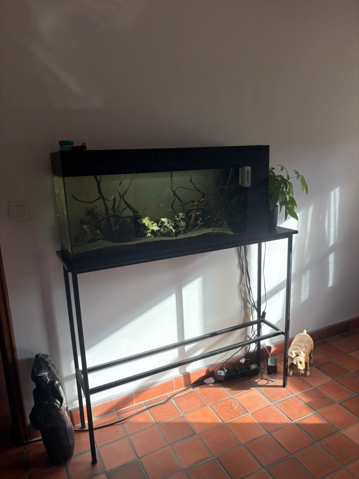 Aquarium te koop met kast inclusief alles zonder visjes!, Ophalen, Gebruikt, 50 tot 100 cm, Glas