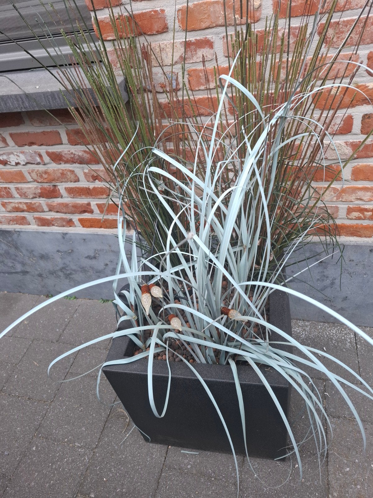 2 kunsplanten met pot dringendweg, Ophalen