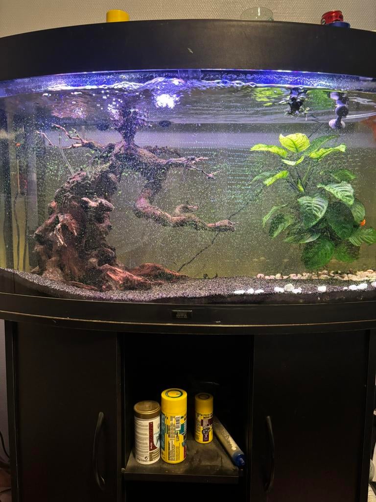 Aquarium 180l, Enlèvement ou Envoi, Comme neuf