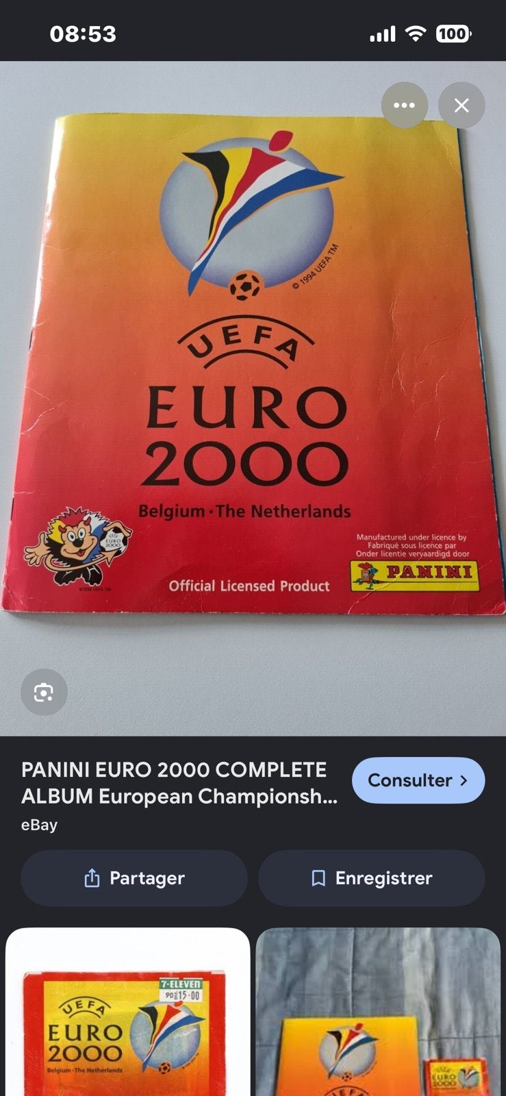 Panini Euro 2000, Tickets en Kaartjes