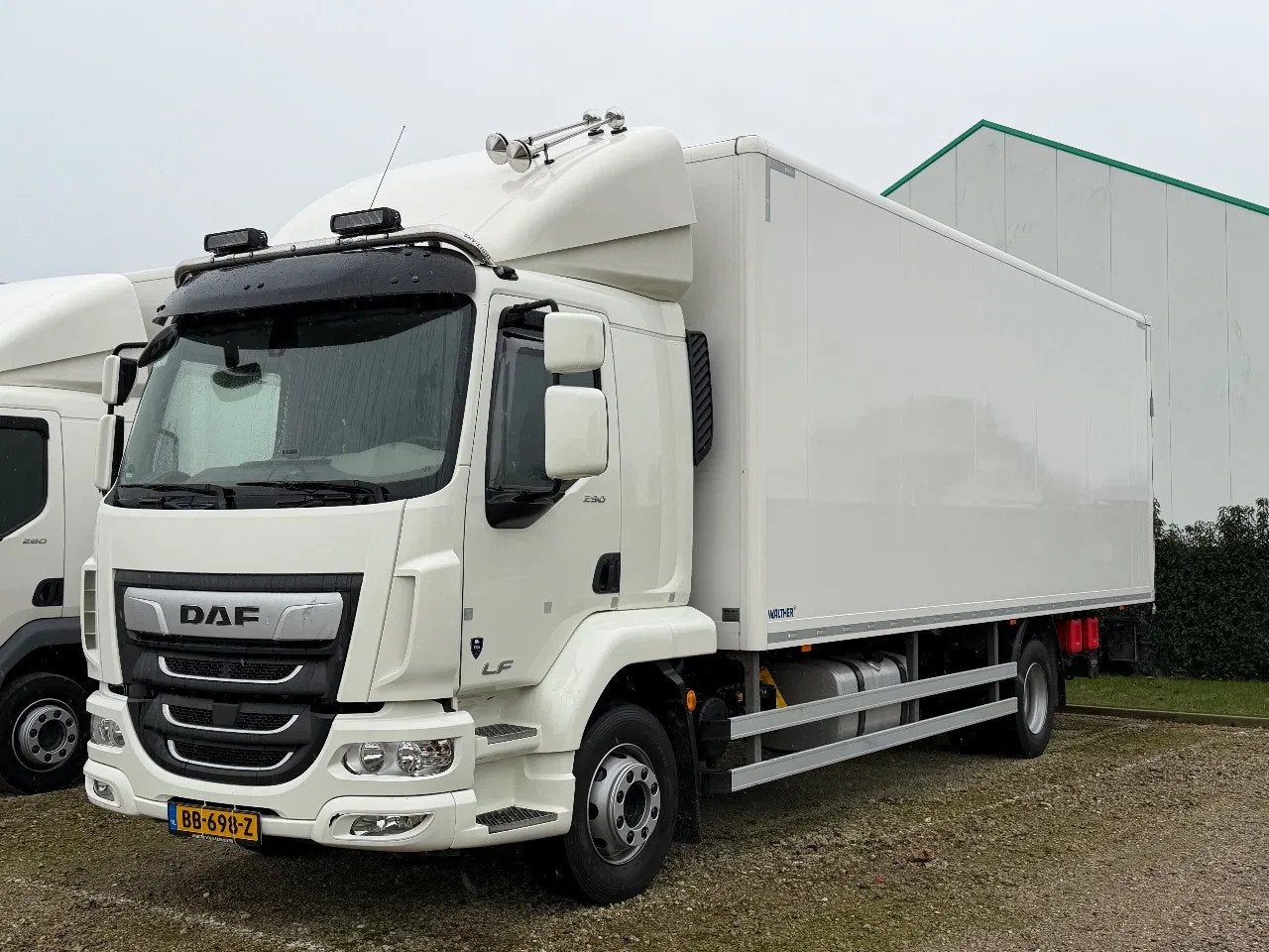 DAF LF 290 L2EN3 (année de construction 2024), Achat, Diesel, Automatique, DAF