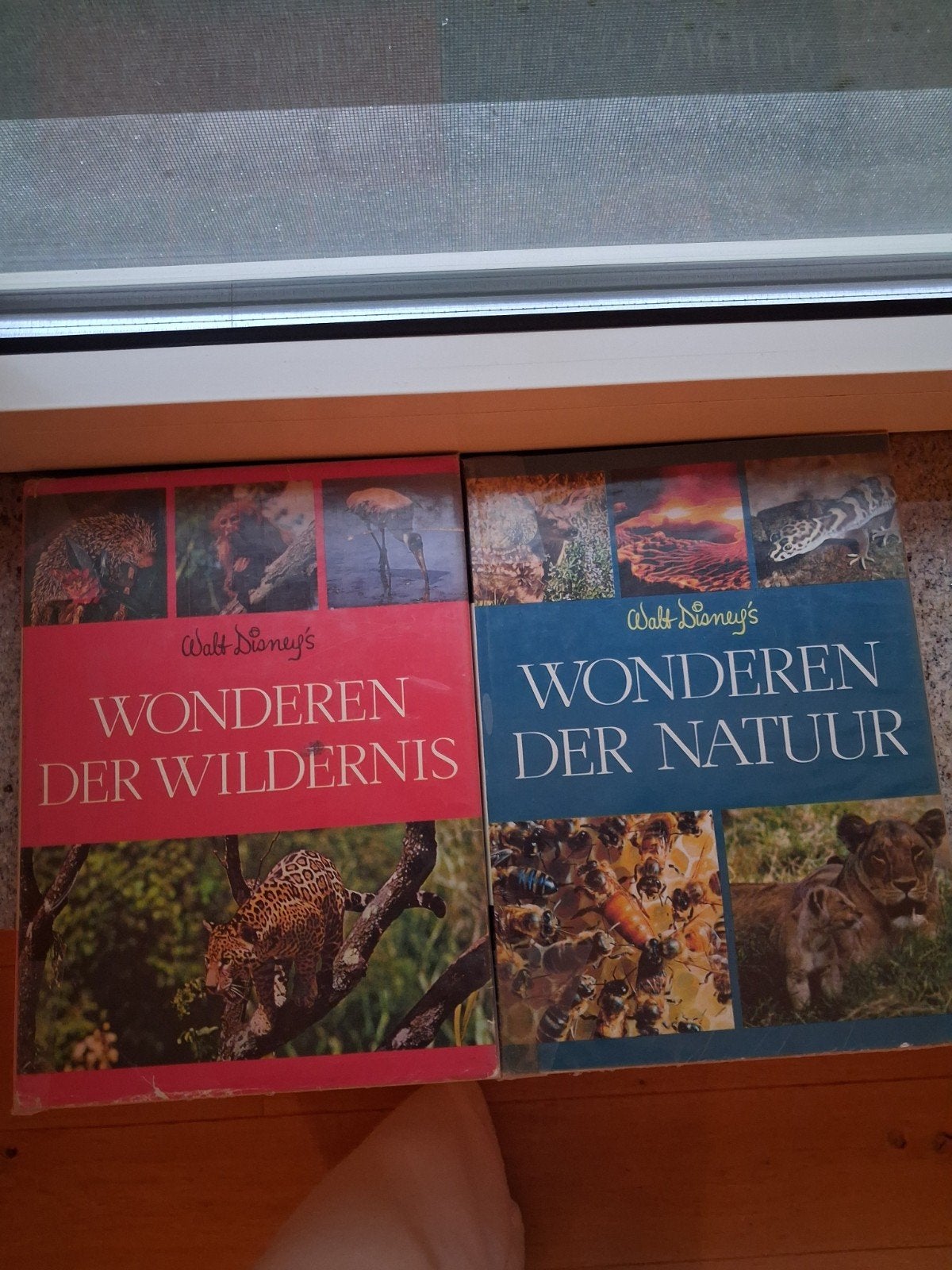 Vintage Walt Disney boeken, Ophalen, Gebruikt