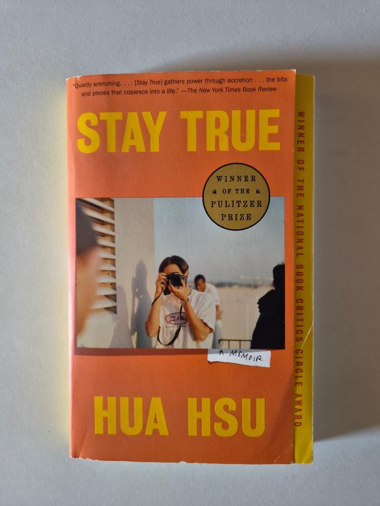 Hua Hsu – Stay True (Pulitzer Prize), Boeken, Literatuur, Gelezen, Ophalen of Verzenden