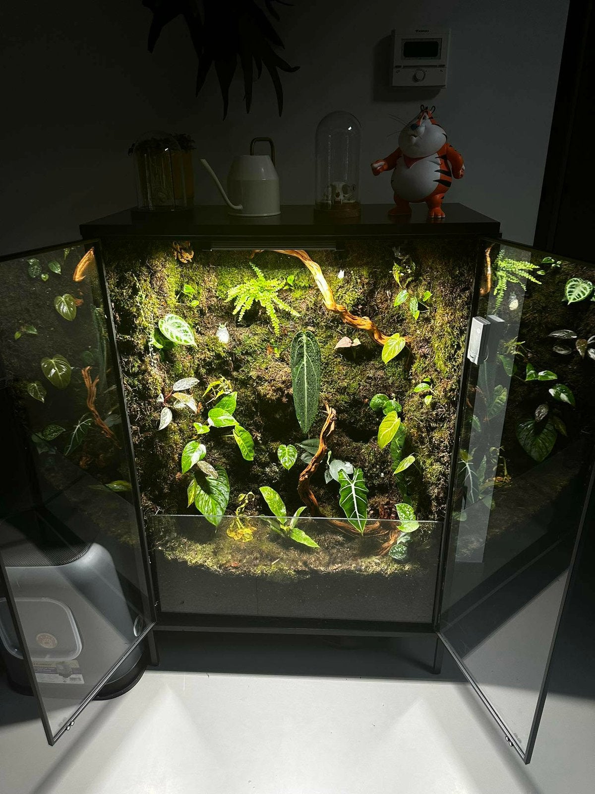 Ikea rudsta plantenkast, Ophalen