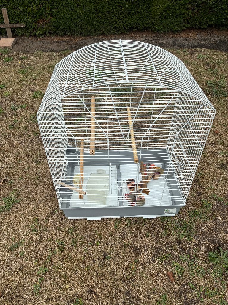 Cage à oiseaux, Animaux & Accessoires, Oiseaux | Cages & Volières, Enlèvement, Utilisé, Métal, Cage à oiseaux