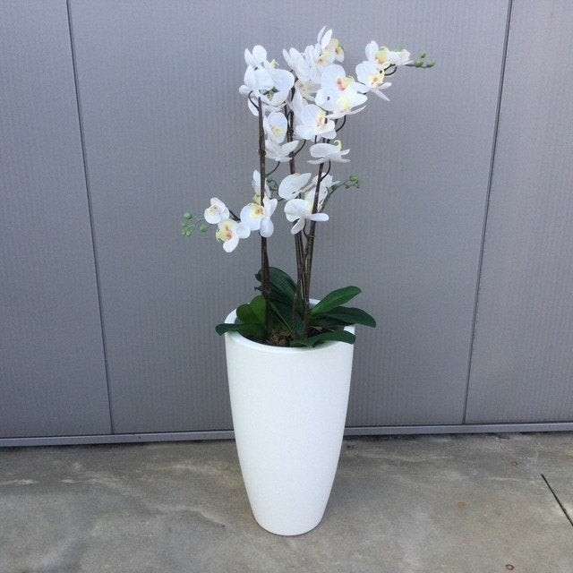 Pot met namaak orchideeën, Ophalen, Gebruikt, Kunstbloem