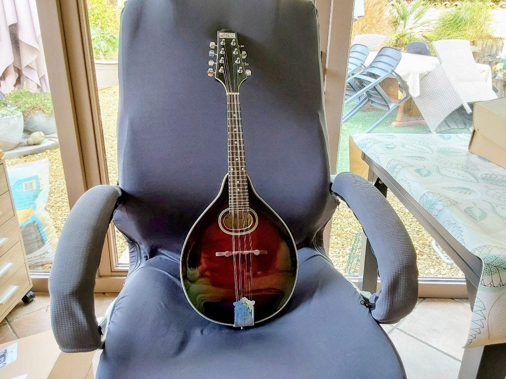 Guitare  Mandoline à 8 cordes, Musique & Instruments, Enlèvement, Comme neuf