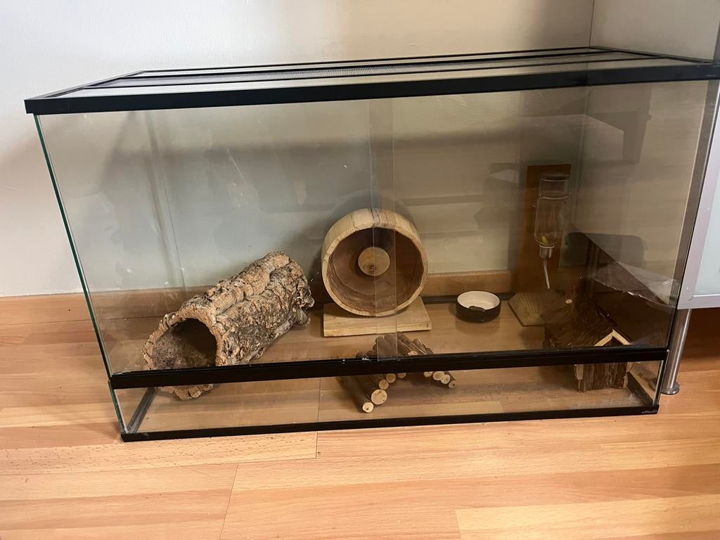 Glazen hamsterkooi ( lengte:78 cm,breedte:37cm,hoogte:49 cm), Dieren en Toebehoren, Kooi, Zo goed als nieuw, Hamster, 75 tot 110 cm