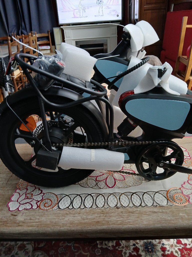 VÉLO ÉLECTRIQUE, Vélos & Vélomoteurs, Enlèvement, Neuf, Décathlon