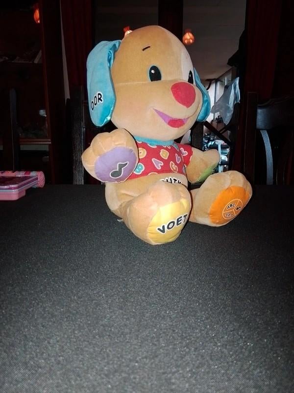 zingende en sprekende knuffelhond, Ophalen of Verzenden, Gebruikt, Hond