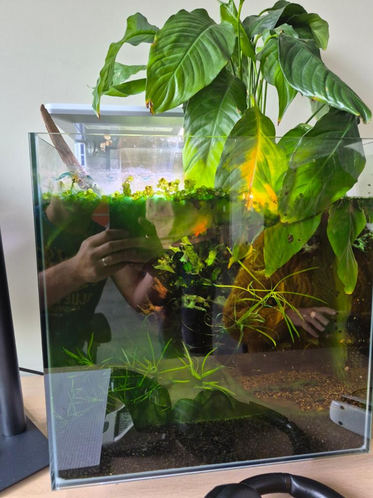Aquarium Superfish qubiq 60., Ophalen, Verlichting