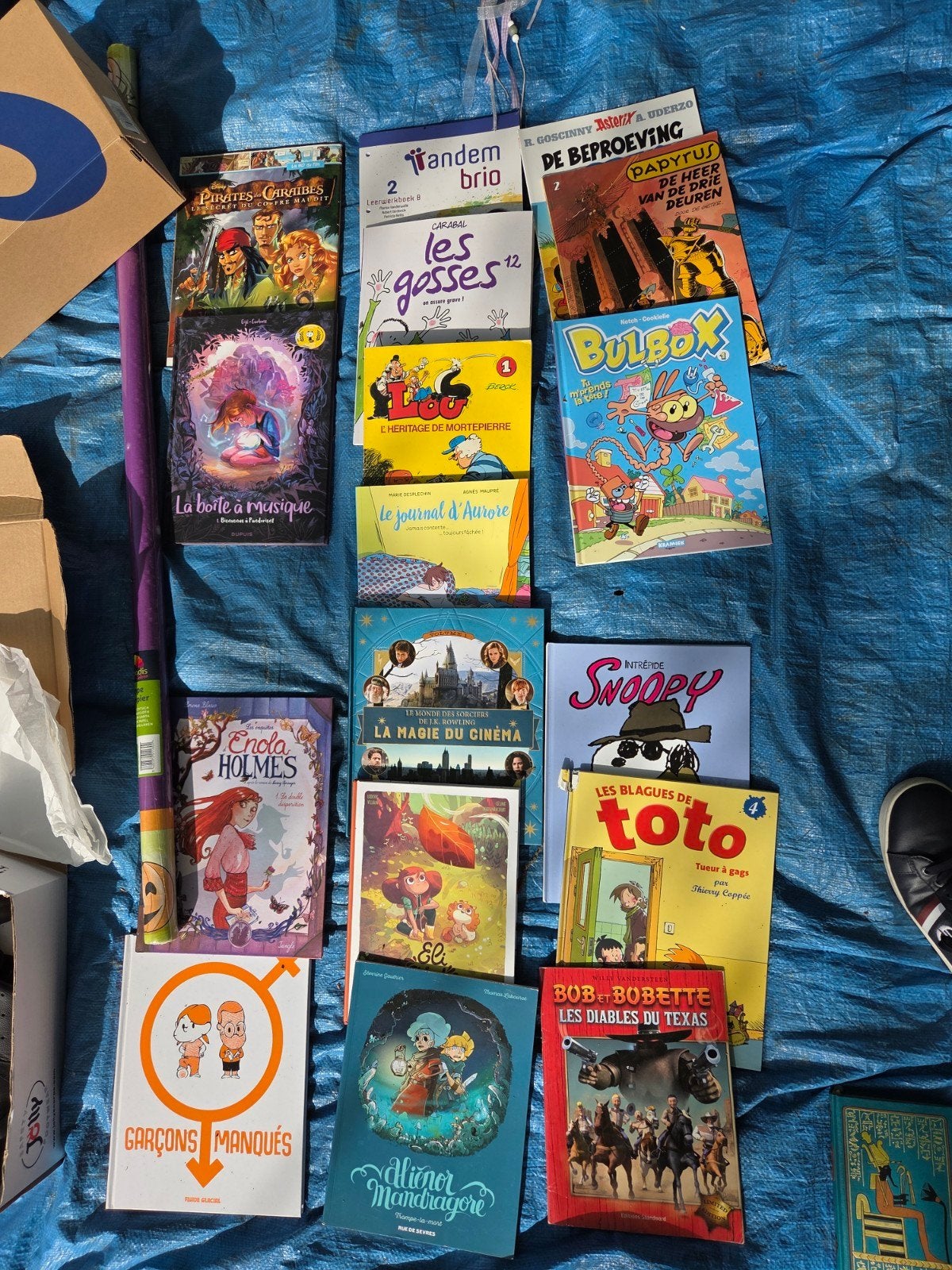 Livres et bd, Enlèvement