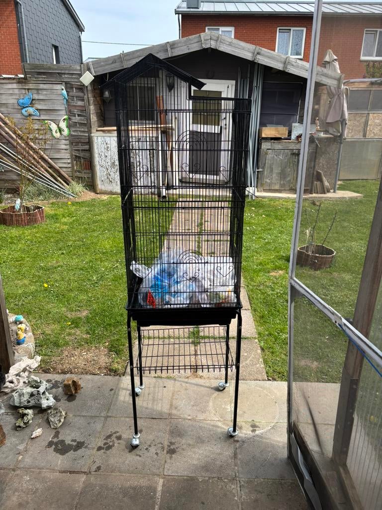 Cage pour canaris, Ophalen, Nieuw