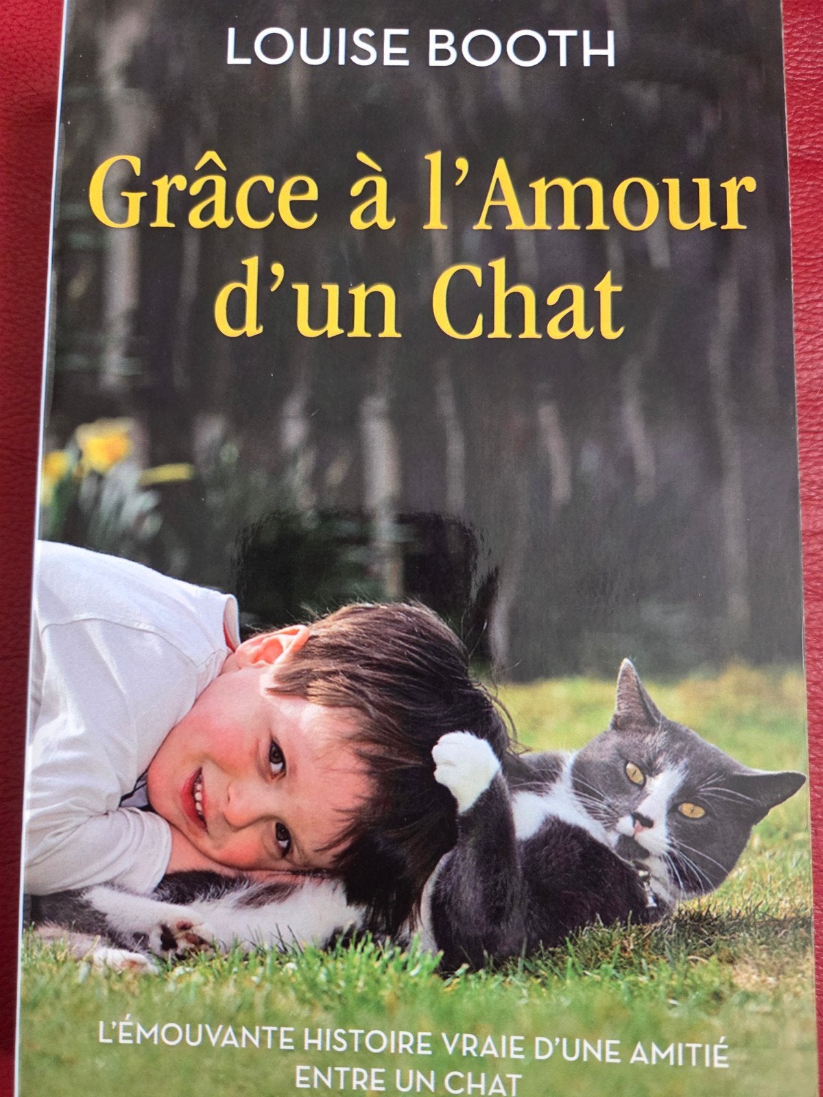 Dankzij de liefde van een kat, Ophalen, België, Louise Blooth, Nieuw