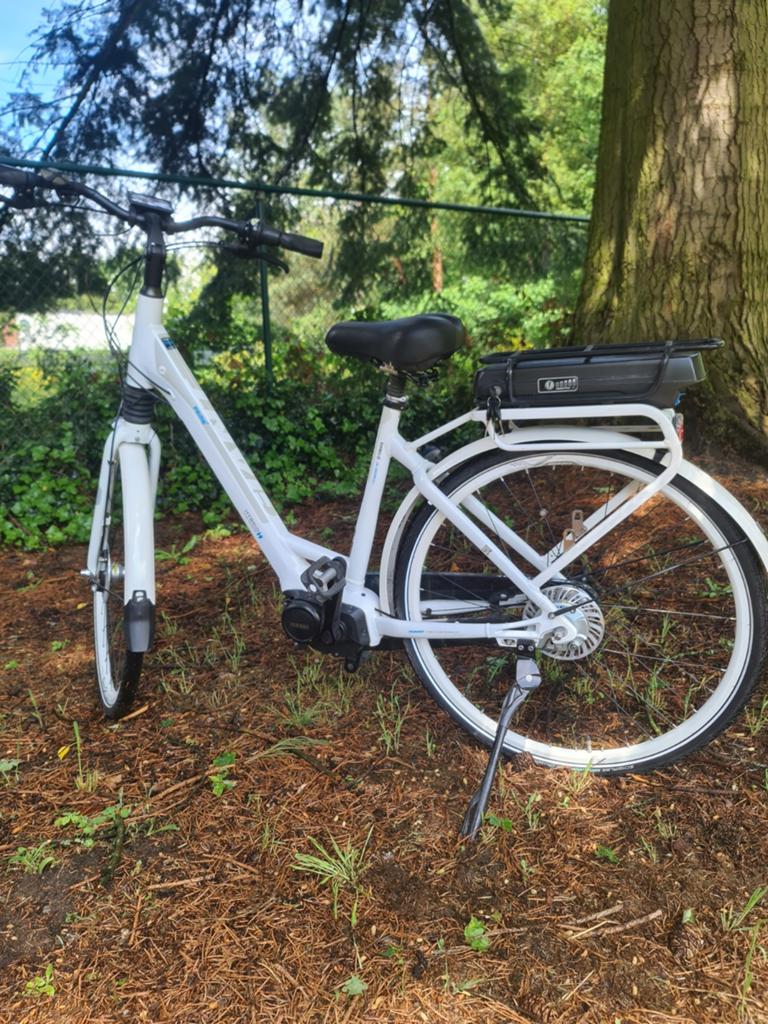 Elektrische fiets GIANT, Fietsen en Brommers, Elektrische fietsen, Ophalen, Giant