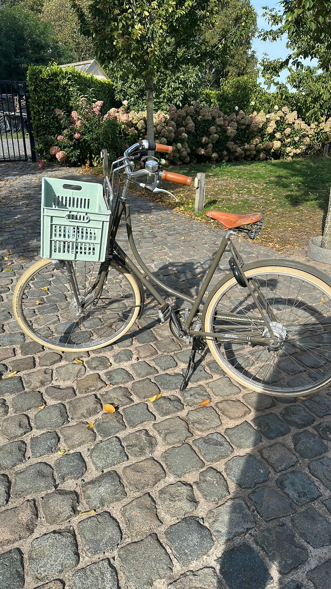 Damesfiets Achiele, Ophalen, Gebruikt, Versnellingen