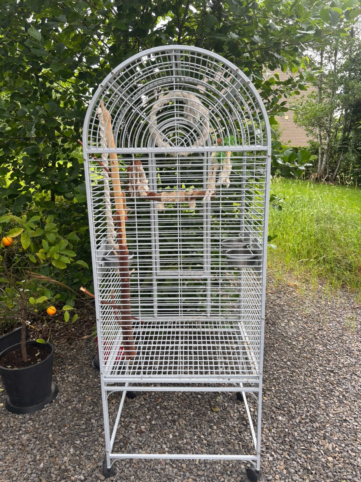 Cage perroquet, Enlèvement, Utilisé, Métal, Cage à oiseaux