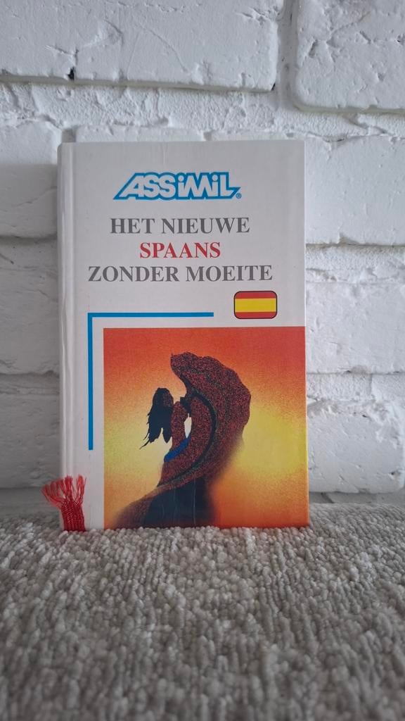 Assimil en Spaans voor dummies, Livres, Enlèvement, Utilisé
