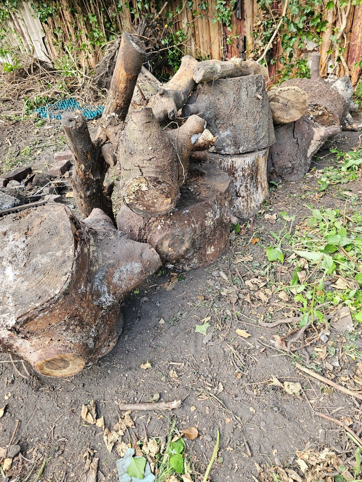 Bois à donner, Ophalen of Verzenden