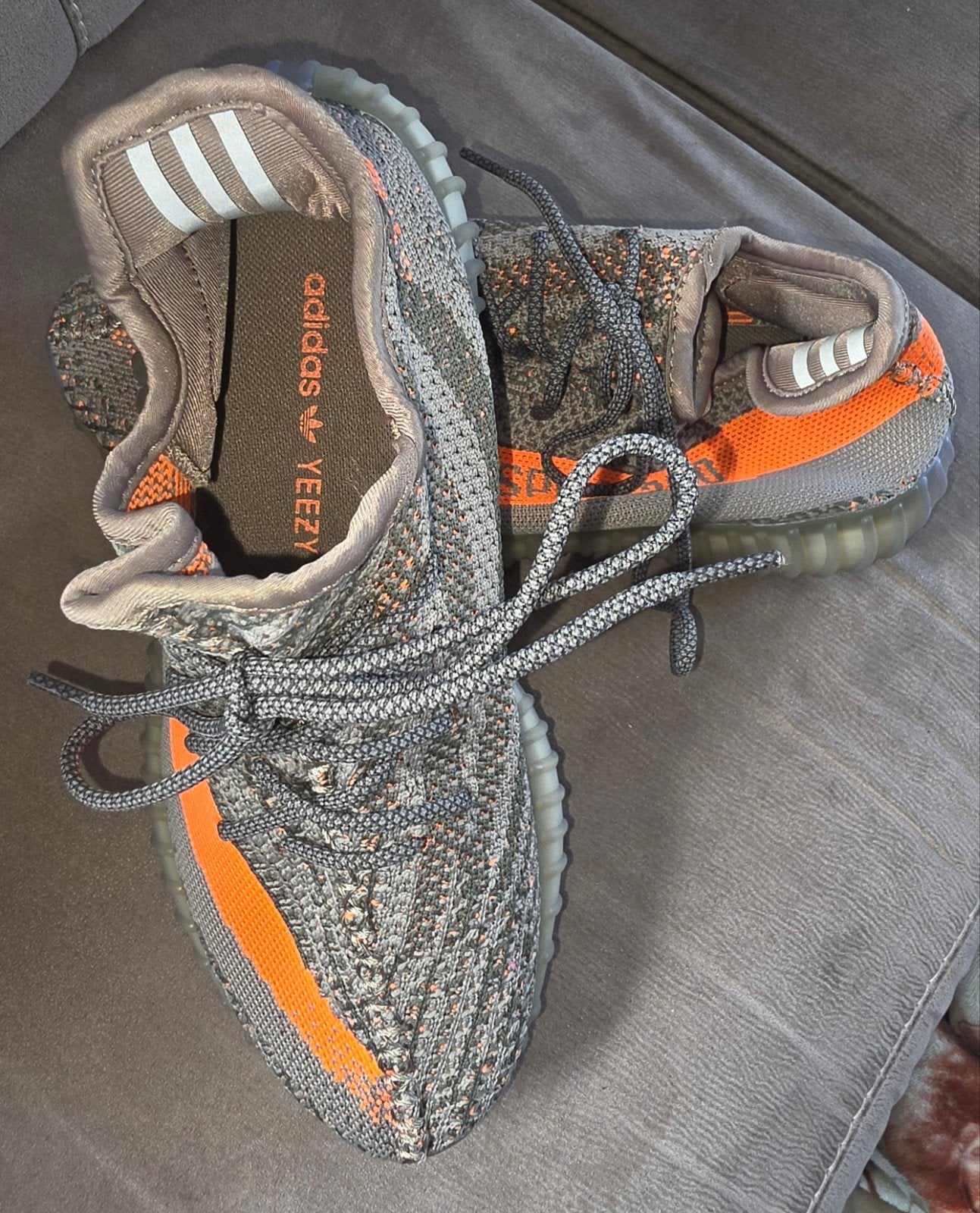 Adidas maat 42, Enlèvement ou Envoi