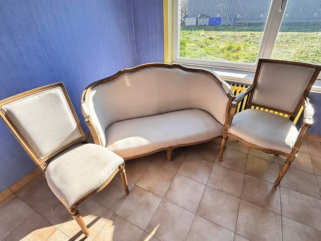 Prachtige klassieke salonsset in Louis XVI-stijl, Ophalen