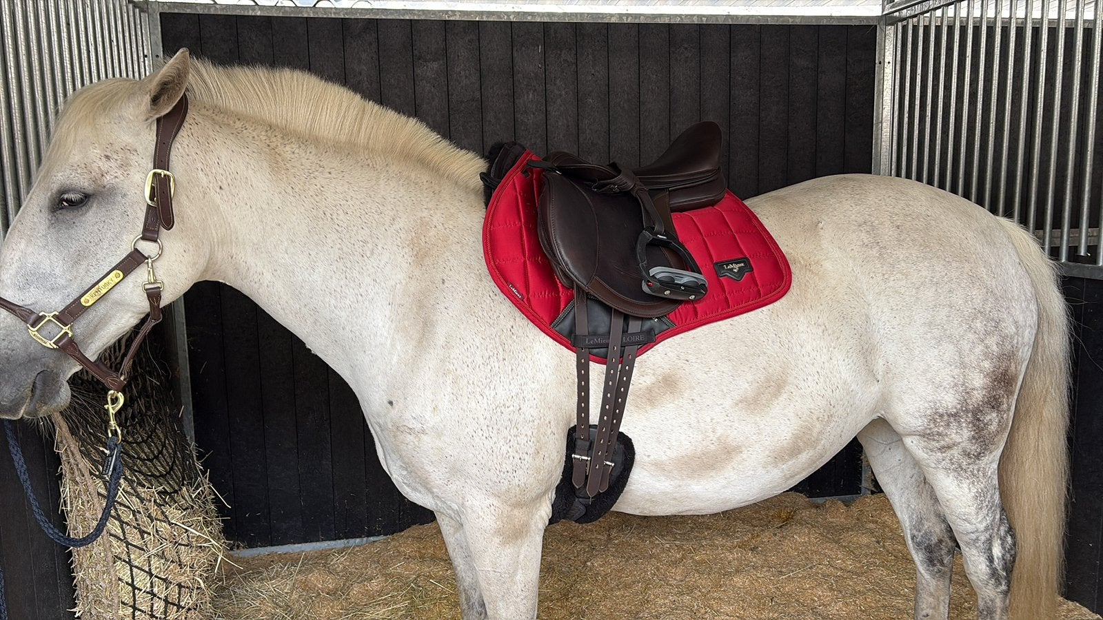 Edix emir 17,5”, Ophalen, L (17.5 inch), Vlakke zit, Nieuw