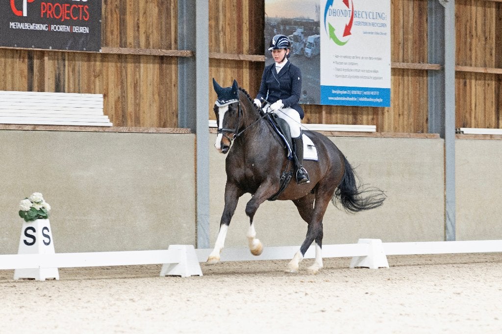 Trainingsstal aangeboden, Dieren en Toebehoren, Paarden, Niet van toepassing