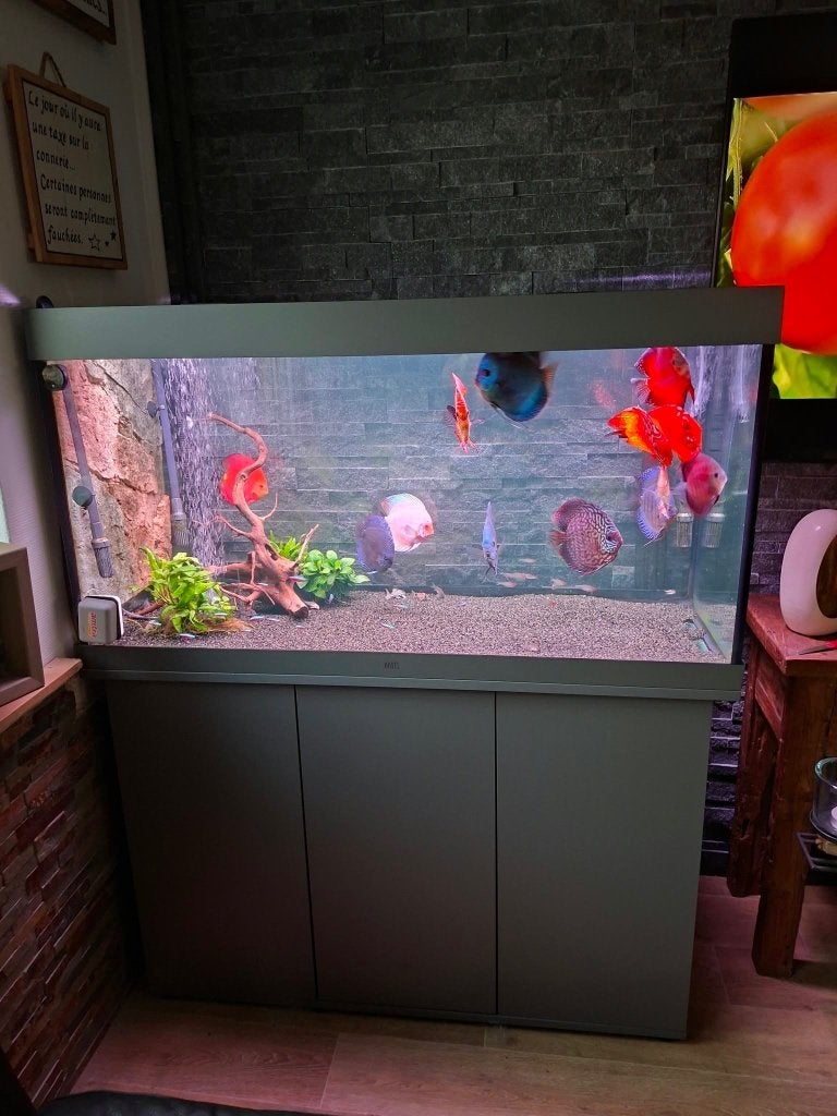 Aquarium, Animaux & Accessoires, Aquarium vide, Comme neuf, Enlèvement, Chauffage