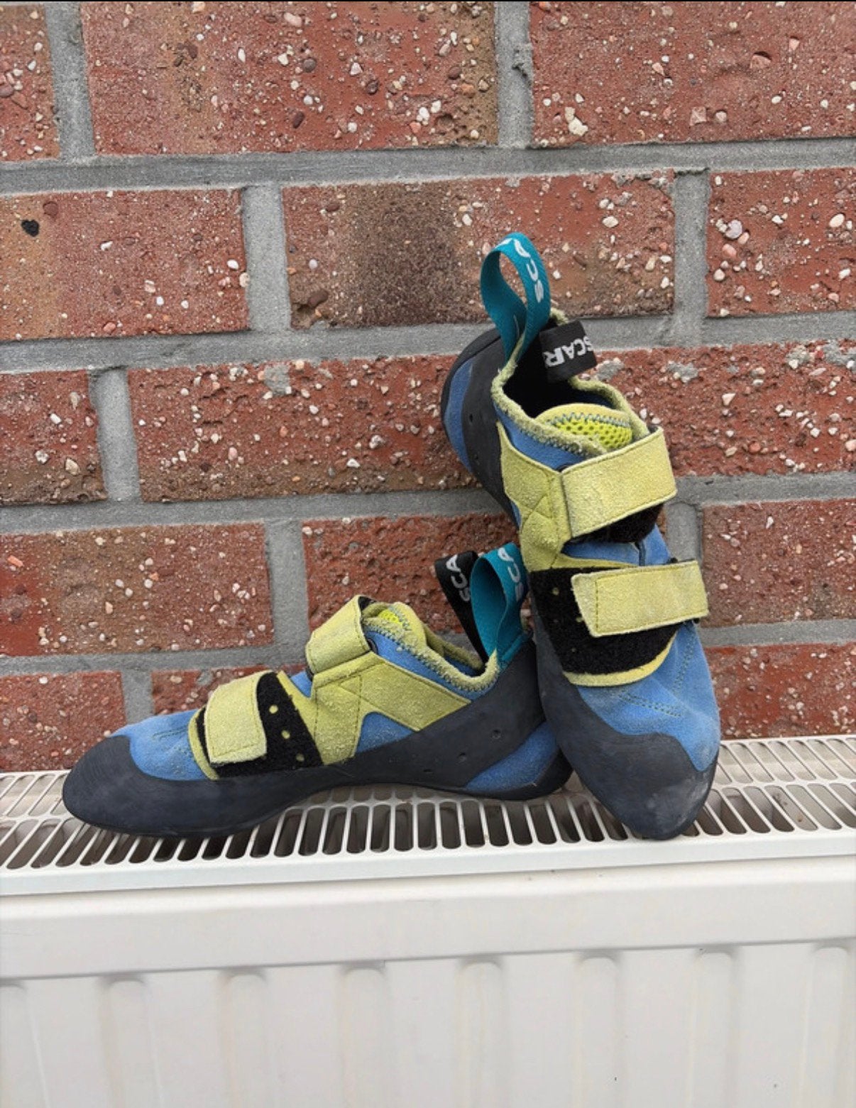 Klimschoenen scarpa prime 38, Enlèvement ou Envoi, Utilisé, Chaussons d'escalade