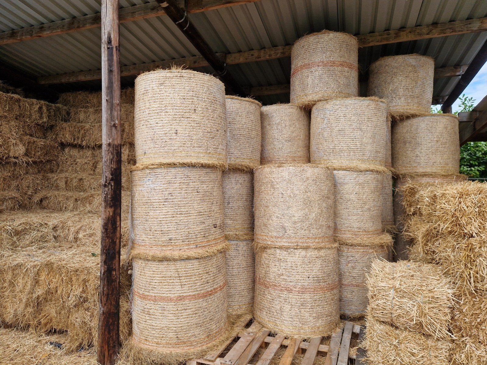 midi hooibalen en kleine pakken hooi te koop, Dieren en Toebehoren, Ophalen